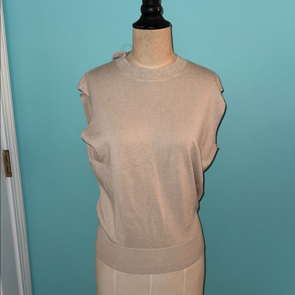 Ann Taylor Sweater